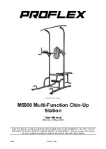 Proflex M5000 User Manual preview