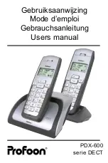 Profoon DECT Series User Manual предпросмотр