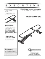 ProForm EXECUTIVE HGBE8991.1 User Manual preview