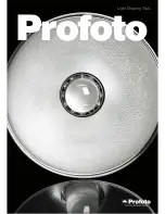 Profoto 250 W Catalog preview