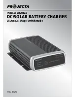 Projecta INTELLI-CHARGE DC/SOLAR BATTERY CHARGER IDC25L Instruction Manual предпросмотр