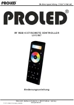 PROLED L513187 User Manual preview