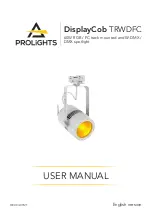 ProLights DISPLAYCOBTRWDFC User Manual предпросмотр