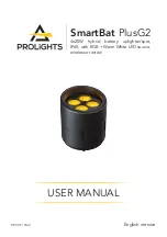 ProLights SmartBat PlusG2 User Manual предпросмотр