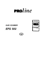 Proline EFG 502 User Manual preview