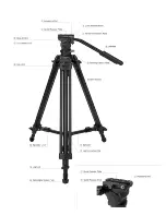 Предварительный просмотр 4 страницы Promaster Cine Tripod CT60K Quick Manual