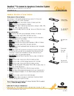 Предварительный просмотр 2 страницы Promega DeadEnd G7360 Instructions For Use