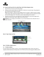 Preview for 15 page of Promega Maxwell 16 Forensic Technical Manual