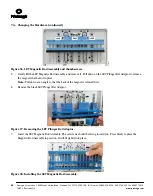 Preview for 37 page of Promega Maxwell 16 Forensic Technical Manual