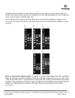 Предварительный просмотр 12 страницы Promega MD1531 Technical Manual