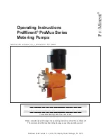 ProMinent ProMus Series Operating Instructions Manual предпросмотр