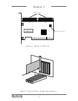 Предварительный просмотр 6 страницы Promise Technology Ultra66 User Manual