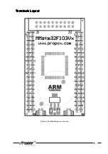 Preview for 5 page of Propox MMstm32F103Vx User Manual