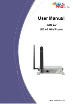 Proroute GEM 2M User Manual preview