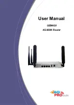 Proroute GEM420 User Manual preview