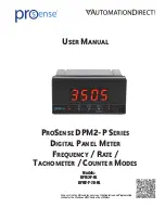 Предварительный просмотр 1 страницы Prosense DPM2-P Series User Manual