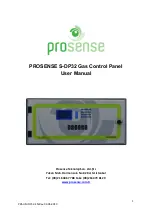 Prosense S-DP32 User Manual предпросмотр