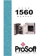 Предварительный просмотр 1 страницы ProSoft Technology ProSoft 1560 User Manual