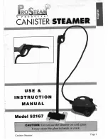 ProSteam 52167 Use & Instruction Manual preview