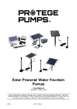 Protege Pumps B12 User Manual preview