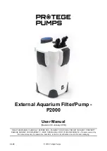Protege Pumps P2000 User Manual preview