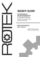 Protek WZWP-020M User Manual preview