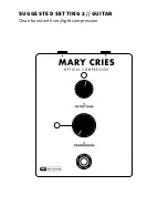 Preview for 4 page of Prs MARY CRIES Instruction Manual