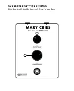 Preview for 5 page of Prs MARY CRIES Instruction Manual