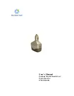 Prudent Way PWI-IV80-SB User Manual preview