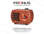 Prunus R-818 User Manual preview