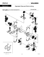 Preview for 22 page of PSG Dover WILDEN PRO-FLO P8 Engineering, Operation & Maintenance