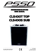 Предварительный просмотр 1 страницы PSSO CLS-100S SUB User Manual