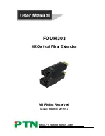 PTN FOUH303 User Manual preview