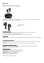 pTron Basspods P251 Product Manual предпросмотр