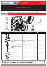 PUIG 3642N Mounting Instructions предпросмотр