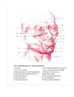 Preview for 10 page of Pully IM-5566 User Manual