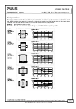 Предварительный просмотр 17 страницы Puls Dimension Y Series Manual