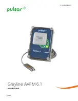 Pulsar Measurement Greyline AVFM 6.1 Instruction Manual preview