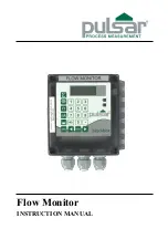 Pulsar Flow Monitor Instruction Manual предпросмотр