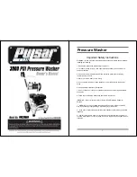 Pulsar PWG3000H Owner'S Manual preview