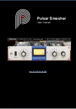 Pulsar Smasher User Manual preview