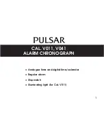 Pulsar V011 User Manual preview