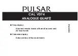 Pulsar VD74 Manual preview