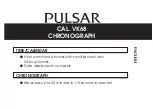 Pulsar VK68 Manual предпросмотр