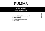 Pulsar W540 Manual preview