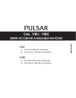 Pulsar Y301 User Manual предпросмотр