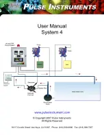 Pulse Instruments System 4 User Manual preview