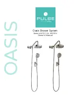 Pulse 1053-CH Owner'S Manual preview