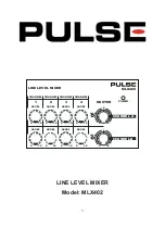 Pulse MLX402 Manual preview