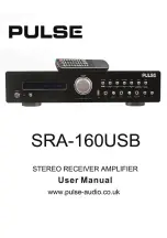 Pulse SRA-160USB User Manual предпросмотр